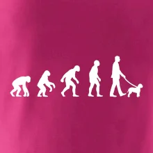 Lagotto romagnolo Evolúcia