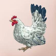 Sliepka kreslená biela