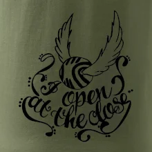 Harry - Zlatá strela