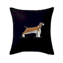 Vintage Springer spaniel