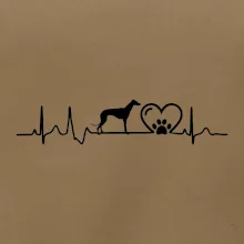 Chrt - Ekg