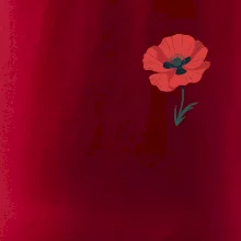 Vlčí mak kreslený na prsníku