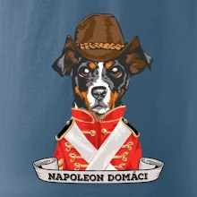 Napoleon domáci kríženec