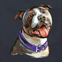 Americký stafordšírsky teriér kreslený