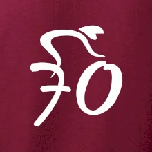 Cyklista oslavuje sedemdesiatku (70)