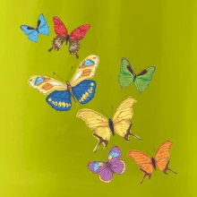 Farebné motýle