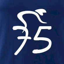 Cyklista oslavuje sedemdesiatpäťpäťky (75)