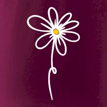 Kopretina - dole na výšku