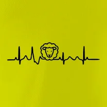 Ekg ovce