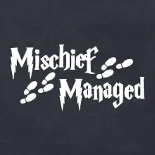Harry - Mischief Managed
