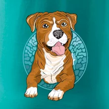 Americký staford kreslený v koliesku (Pecka design)