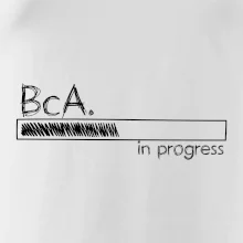 In progress titul BcA. bakalár / bakalárka umenia