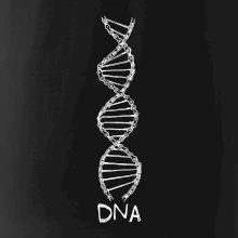 Cyklistovo DNA