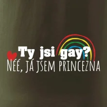 Gay princezna Gay princezna