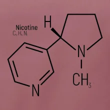 Molekulárna štruktúra Nikotín