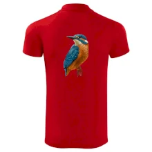 Ľadnáčik kreslený Ľadnáčik kreslený