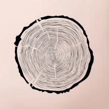 Letokruhy 70 bez veku