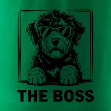 Lagotto romagnolo the boss Lagotto romagnolo the boss