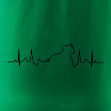 Stafordšírsky bulteriér ‎ EKG