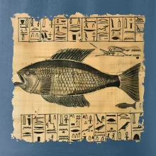 Egyptské hieroglyfy ryba Egyptské hieroglyfy ryba