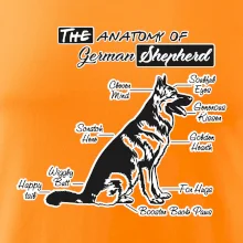 Nemecký ovčiak - Anatómia