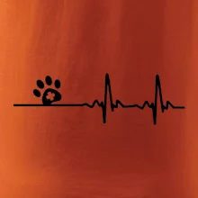 Veterinár EKG