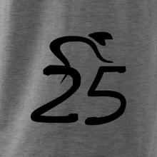 Cyklista oslavuje dvadsaťpäťku (25)