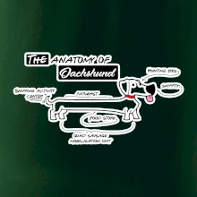 Jazvečík - Anatómia