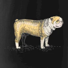 Vintage bulldog