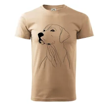 Labrador čierna kresba