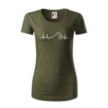 Stafordšírsky bulteriér ‎ EKG