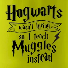 Harry - Hogwarts wasn’t hiring, so I teach Muggles instead