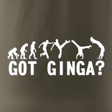 Capoeira - Got Ginga