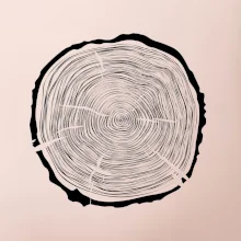 Letokruhy 65 bez veku