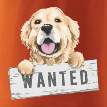 Zlatý retriever - šteniatko wanted