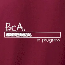 In progress titul BcA. bakalár / bakalárka umenia