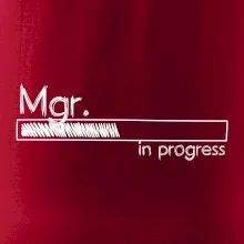 In progress titul Mgr. magister / magistra