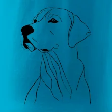 Labrador čierna kresba