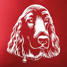 Kokeršpaniel - hlava kreslená