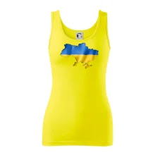 Ukrajina vlajka mapa