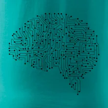 Tlačený spoj mozog