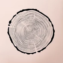 Letokruhy 85 bez veku