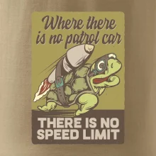 Korytnačka na cestách