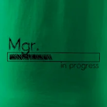 In progress titul Mgr. magister / magistra