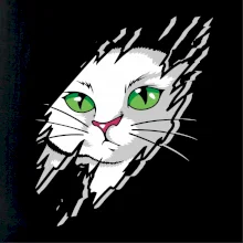 Kočka v roztrženém triku