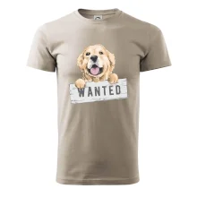 Zlatý retriever - šteniatko wanted
