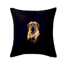 Obrázok poltón Anglický mastif