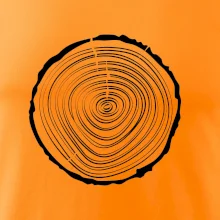 Letokruhy 20 bez veku