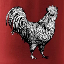 Kohút kreslený čiernobiely