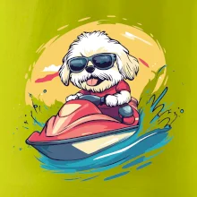 Lhasa Apso na vodnom skútri